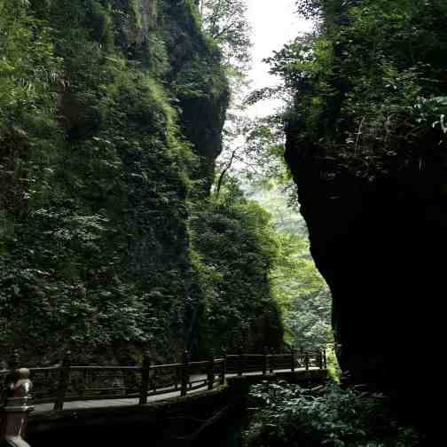 峨眉山景